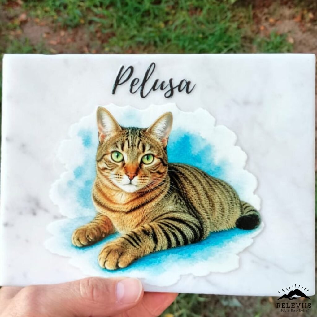 Ritratto del gatto personalizzato in mano: ritratto a colori del tuo gatto su pietra, per vedere le dimensioni reali.
