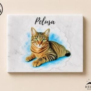 Ritratto personalizzato a colori di Pelusa, gatto tigrato dagli occhi verdi, su pietra italiana bianca con tocchi azzurri ad acquerello