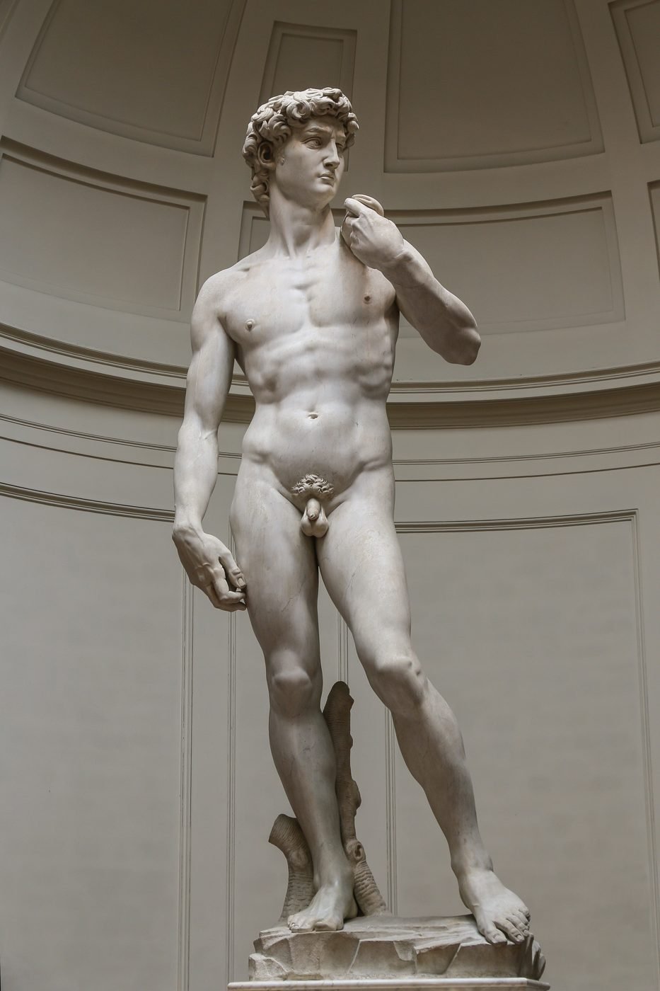 Il David di Michelangelo in marmo di Carrara alla Galleria dell'Accademia di Firenze
