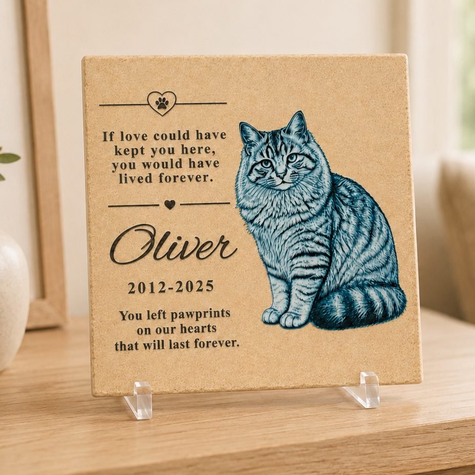 Memoriale illustrato per il gatto Oliver